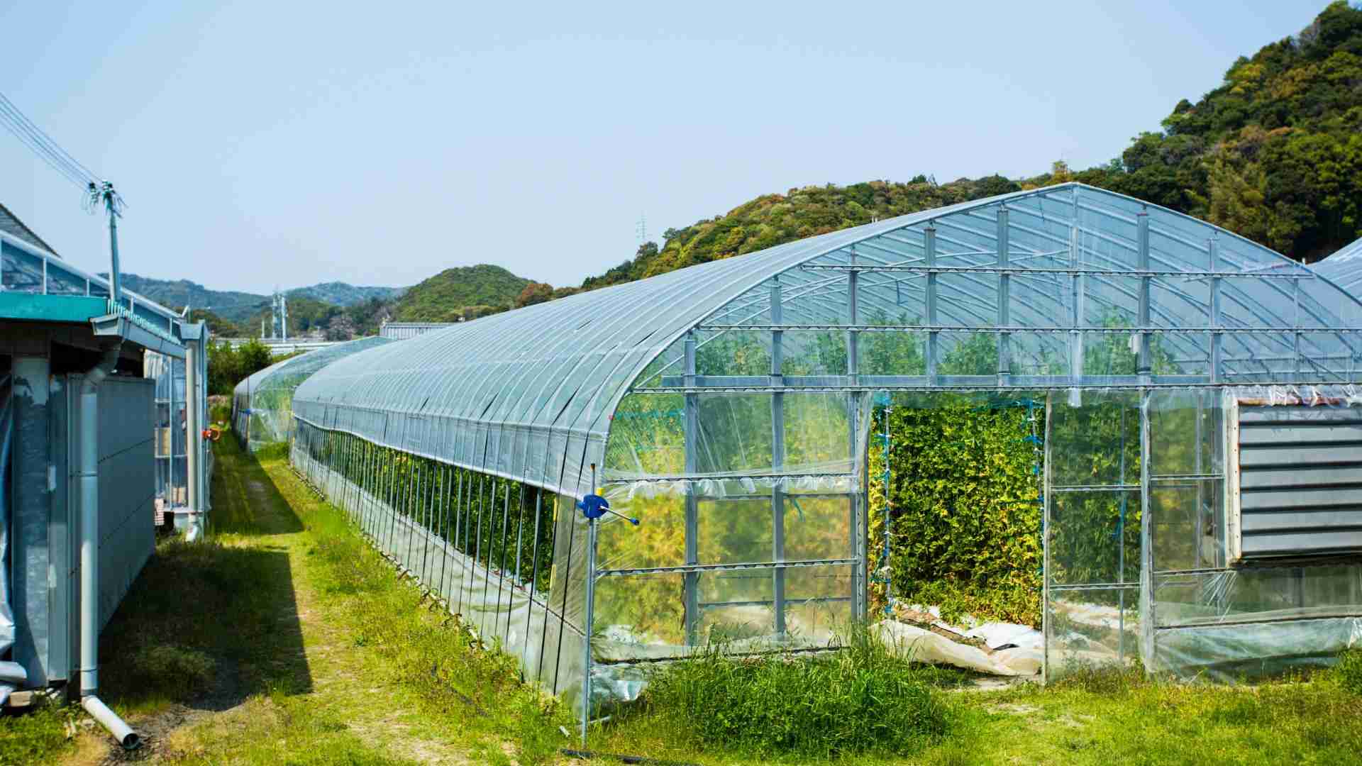 ナフサ調達難で農業に異変　資材不足による生産現場への影響広がる #エキスパートトピ（松平尚也） - エキスパート - Yahoo!ニュース