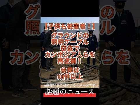【子供も被害者！】グラウンドの照明ケーブル窃盗でカンボジア人らを再逮捕！余罪は100件以上　　#金属窃盗 #カンボジア人 #銅線泥棒 #治安悪化 #再逮捕 #最新ニュース #Shorts