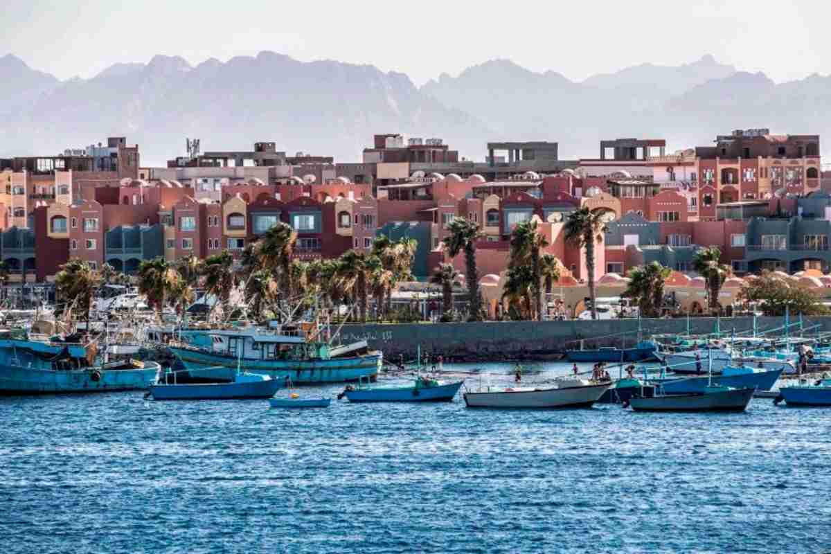 首に巻き付けたヘビにかまれ観光客死亡、ヘビ使いショー観覧中　エジプト - CNN.co.jp