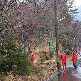 こっちの写真は雰囲気違って見えるけどどっちが実際に近いんだろう？やはり華奢よね | ガールズちゃんねる - Girls Channel -