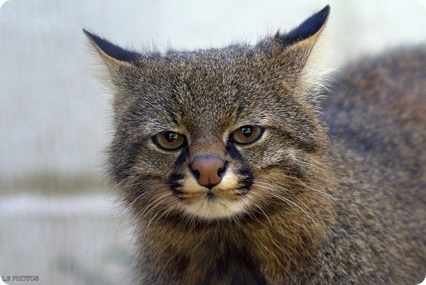 職場でカバンを汚されたけれど、軽く謝られて終わってしまった