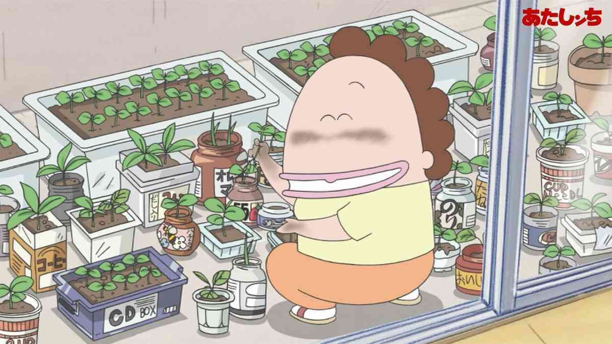 今年の夏の家庭菜園は何を植えますか？