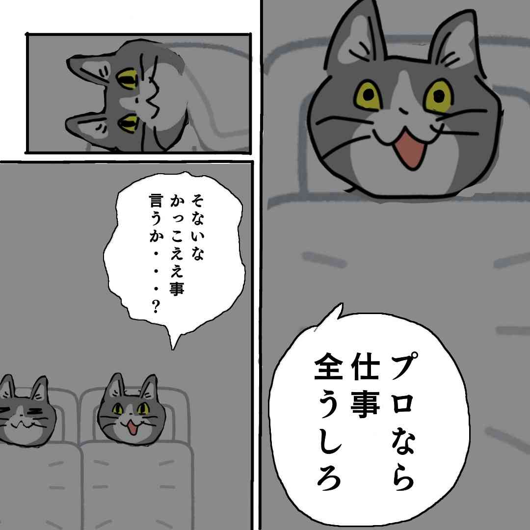 現場猫を見て癒されたい!Part10