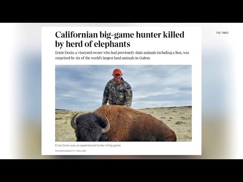 From Lodi to Gabon: longtime hunter Ernie Dosio dies during African safari trip by herd of elephants