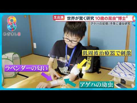 【注目】世界が驚く研究！10歳の“昆虫博士”｢アゲハチョウの記憶の遺伝」のココがスゴい！！【めざまし８ニュース】