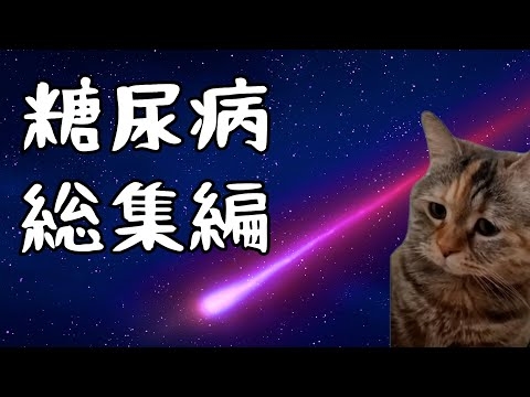 糖尿病で亡くなるまでの実話記録 総集編【猫ミーム】【落下星の部屋】