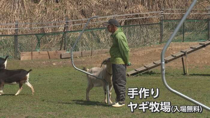 富山・氷見市のヤギ牧場でかわいすぎる赤ちゃん7頭誕生　「抱っこできるのは今の時期だけ」 総勢39頭の大所帯に