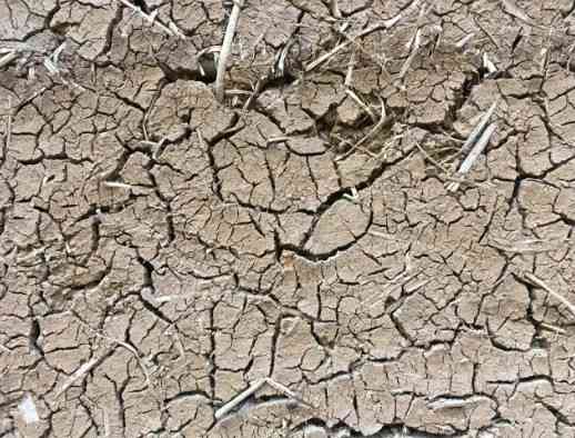 今夏はスーパーエルニーニョ発生の予測も:2027年の世界気温は最高記録更新が必至に（オルタナ） - Yahoo!ニュース