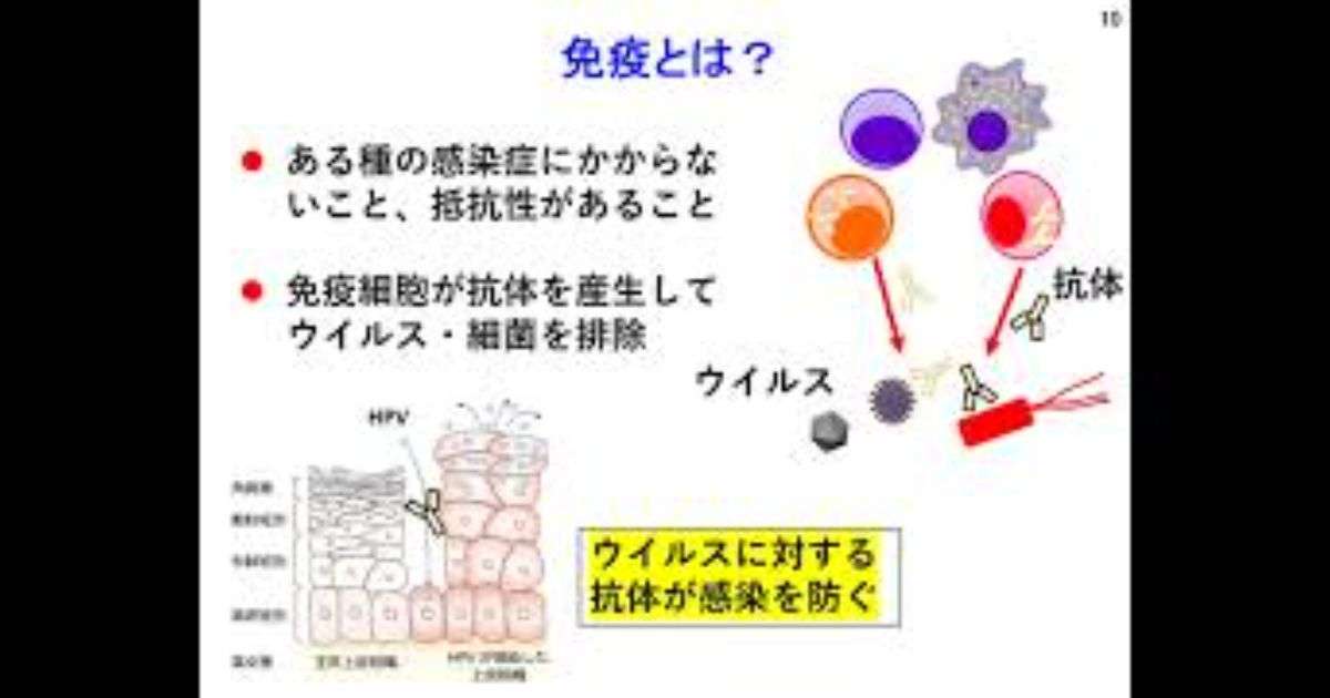 「いいから質問に答えろ！」「無駄な質問は控えてください」弁護士の怒号も飛び交った「HPVワクチン薬害裁判」の傍聴記録 - Togetter