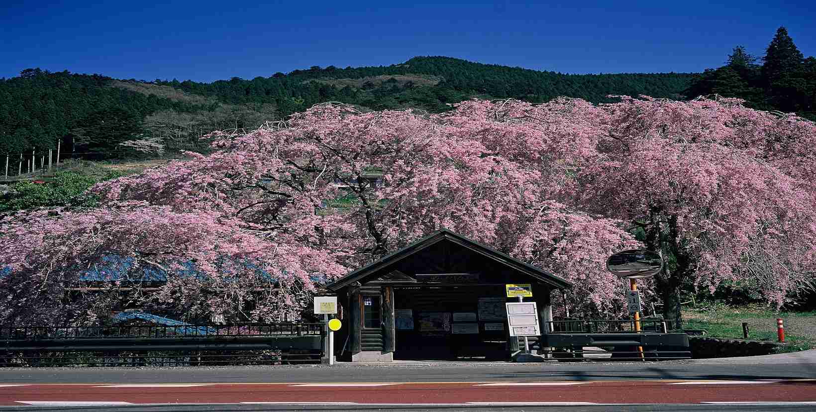 東京あるある