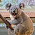 王子動物園市民サミット on X