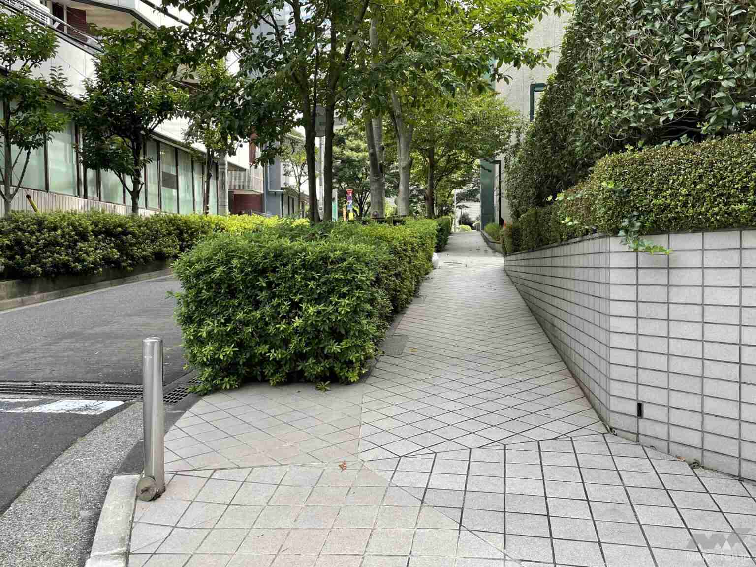 【どう思う？】「自転車専用道を作る場所がない」なんて大嘘だ！ 今すぐ歩道の植え込みを撤去せよ！