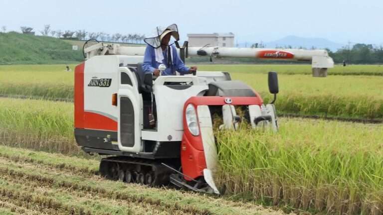 田舎では、これを持ってないと見下される
