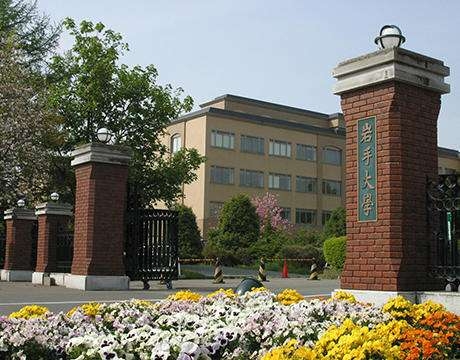 大学　興味ある学部か就職に強い学部か