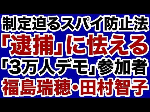 【反高市3万人デモ】スパイ防止法「逮捕」に怯える福島瑞穂【デイリーWiLL】
