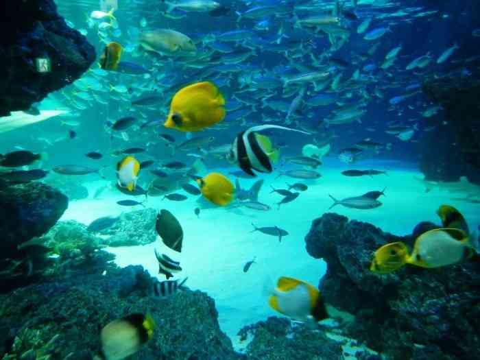 「韓国とは次元が違う！」、日本の女子高生を韓国人が絶賛―韓国ネット