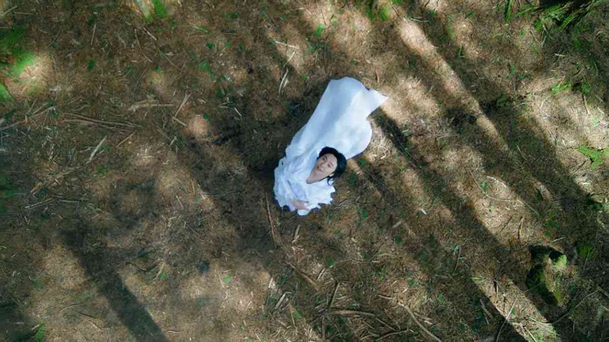 芸能人でSNSをやることがプラスに働いてる人って誰だと思う？