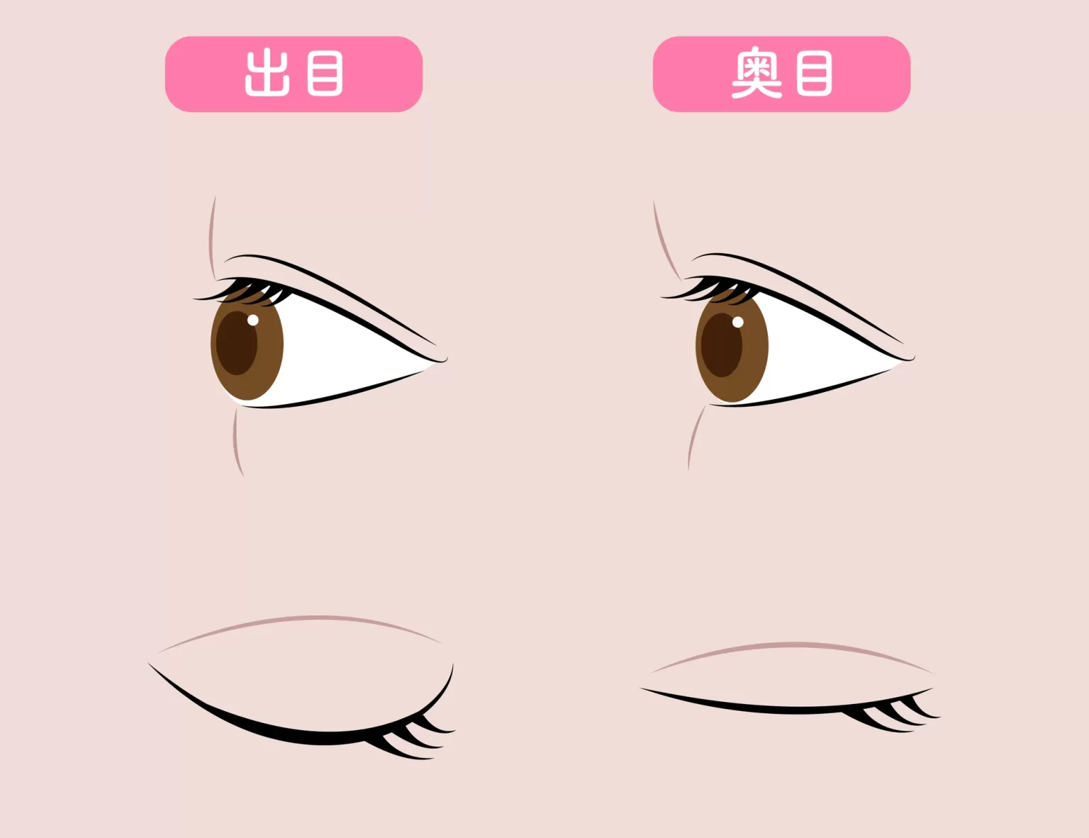【メイク】出目か奥目か