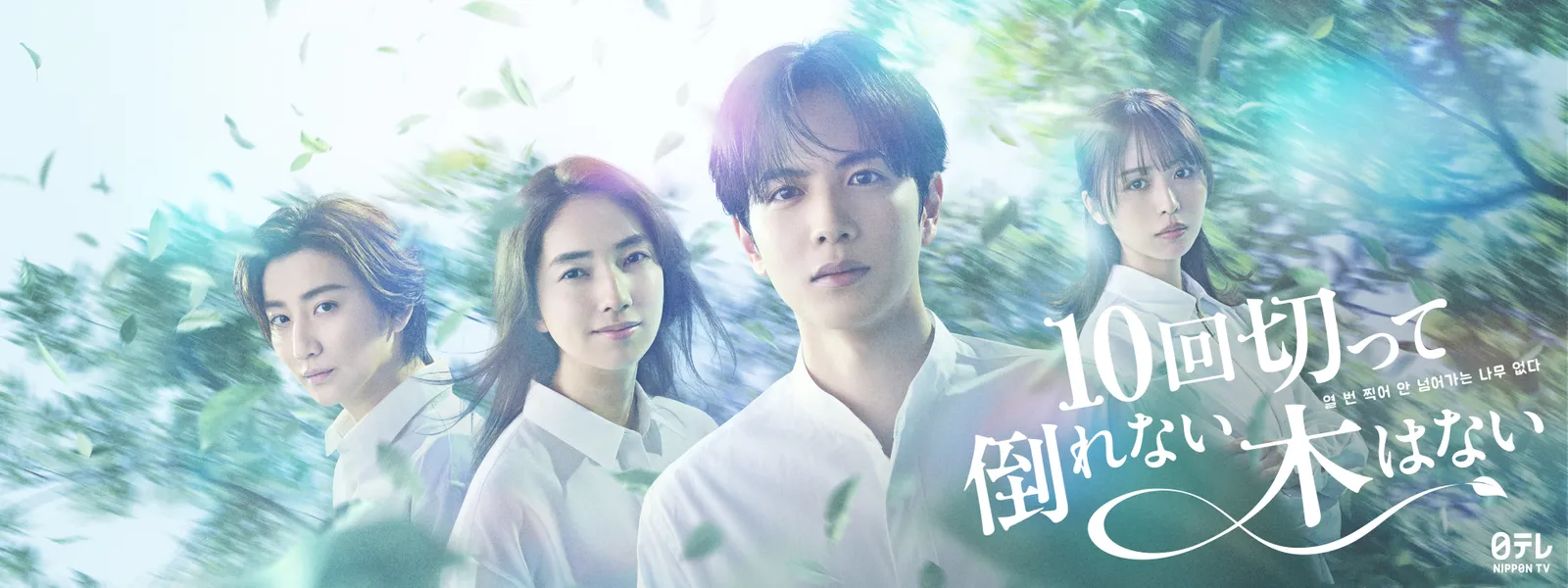 【実況・感想】10回切って倒れない木はない #01