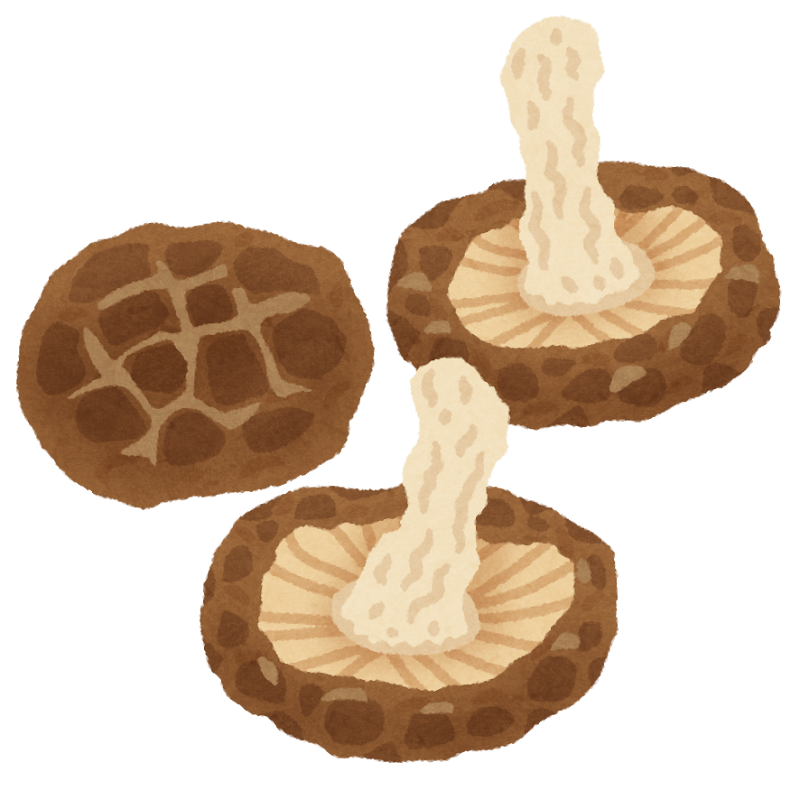 【干す】自家製🍄‍🟫乾物【食品】
