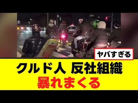 【衝撃】クルド人反社組織、イキって暴れる動画を上げまくる