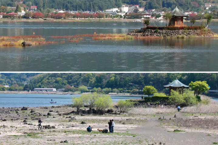 山梨・河口湖の底が丸見え…六角堂が陸続きに 少雨で水位低下「どんどん干からびていく」