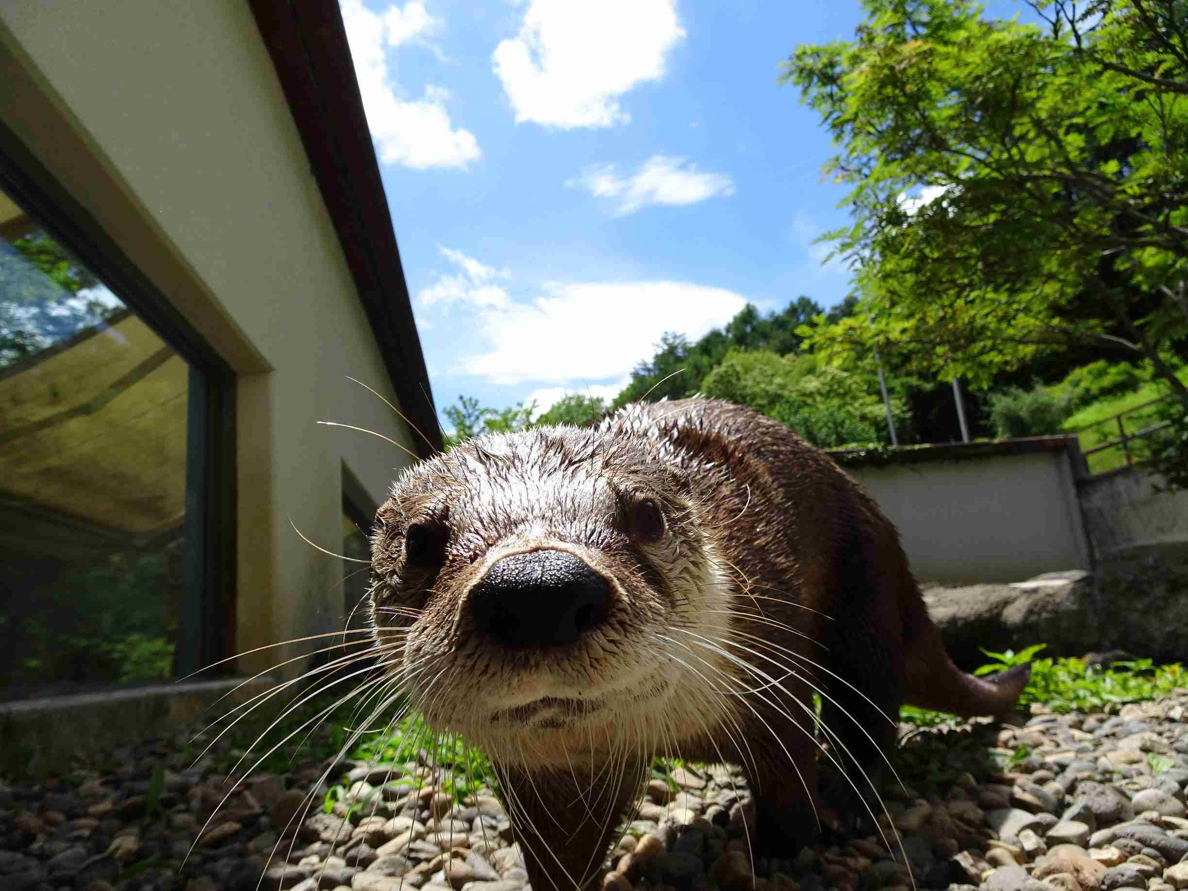 動物園で「気持ち悪！」と言う人【爬虫類など】