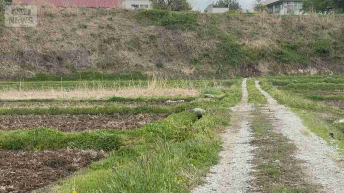 クマに遭遇 男性襲われ顔や腕にけが　田んぼの見回りで…