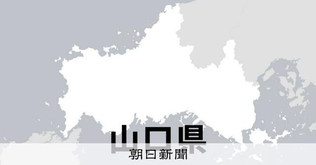 乗用車どうしが正面衝突、25歳男性と8歳男児が死亡　山口・美祢 [山口県]：朝日新聞