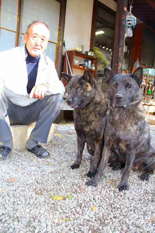 甲斐犬２匹が「クマ」を追い払う！ ★上田市住吉の村田静男さん（79）が飼っている甲斐犬。 | 東信ジャーナル
