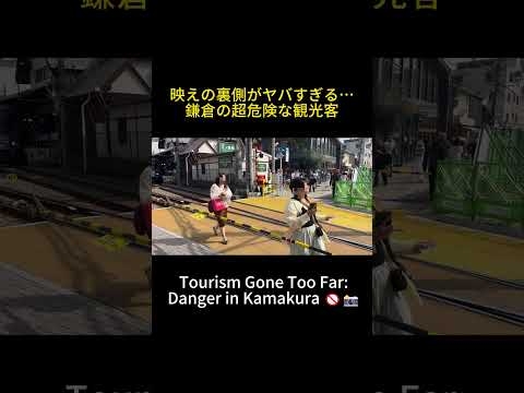 映えの裏側がヤバすぎる…鎌倉の超危険な観光客  #日本  #realmoment #viral