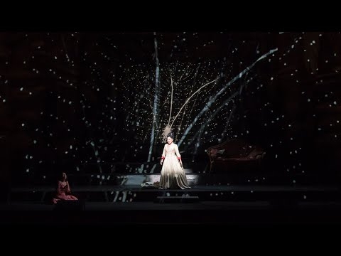 新国立劇場オペラ『魔笛』より　Die Zauberflöte - New National Theatre, Tokyo