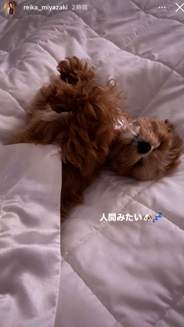 1.5億円超脱税・宮崎麗果が子供たちの元気な姿や愛犬の写真を新たに公開…黒木啓司とは“離婚間近”報道
