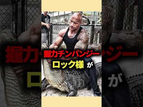 ロック様が愛した日本のチェーン店が意外すぎた　#ドウェインジョンソン #偉人 #ハリウッド