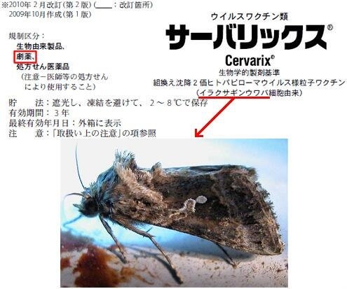HPV（子宮頸がん）ワクチンについて語りたい