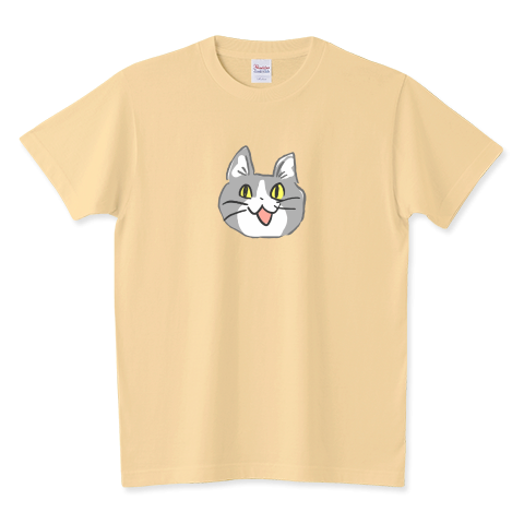 猫を飼ってる人のお出かけ