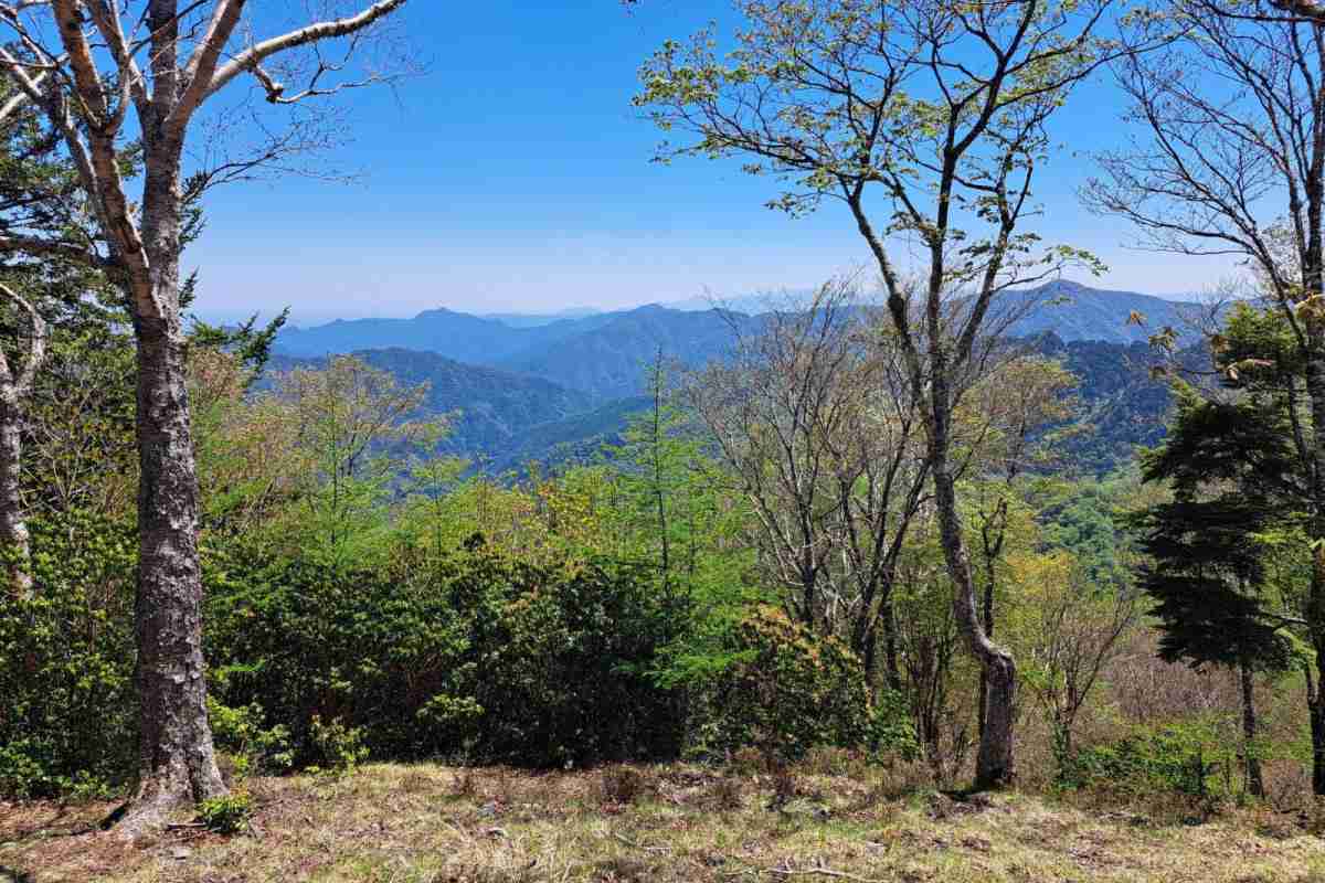 奥多摩・長沢背稜の登山道がほぼ全域で通行止めに。クマ事故防止のため - 山と溪谷オンライン