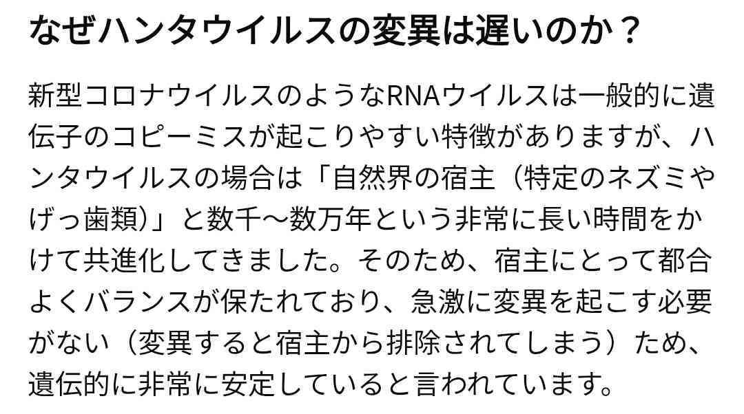 ハンタウイルス「直ちに影響ない」と木原官房長官　国内感染者確認されず、注意呼びかけも