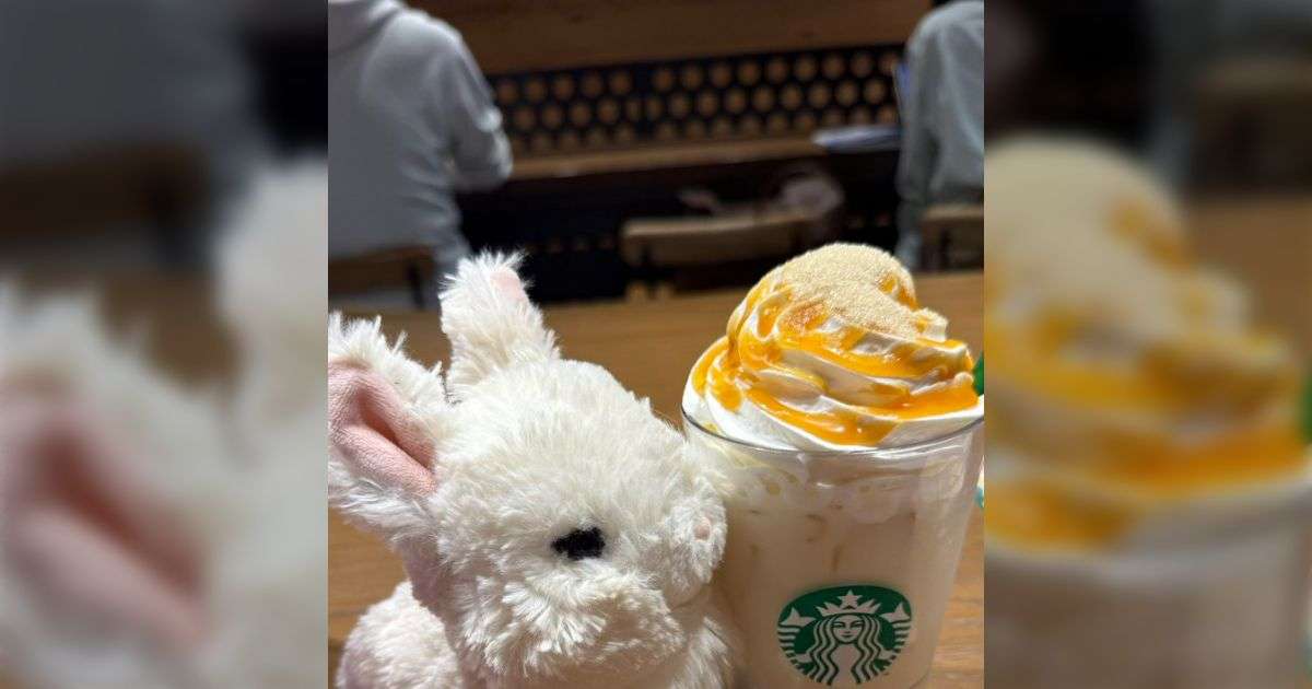 大切なぬいぐるみを不注意で落としてしまった数日後、フリマサイトで似たものが販売されていたので購入することに→出品は落とした日より以前 - Togetter