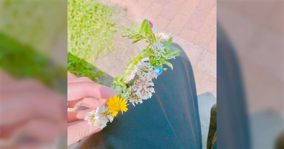 娘と花冠を作って遊んでいたら知らない子が欲しい欲しいとせがむ...作って渡してあげたら今度は母親がやってきて「虫がいたんですけど！」と謝罪を求められた - Togetter