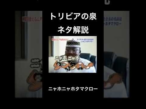 【トリビアの泉　ネタ解説】ニャホニャホタマクロー　#shorts #トリビアの泉