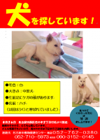 ★ 花の木ねこサポ日記 ★ 