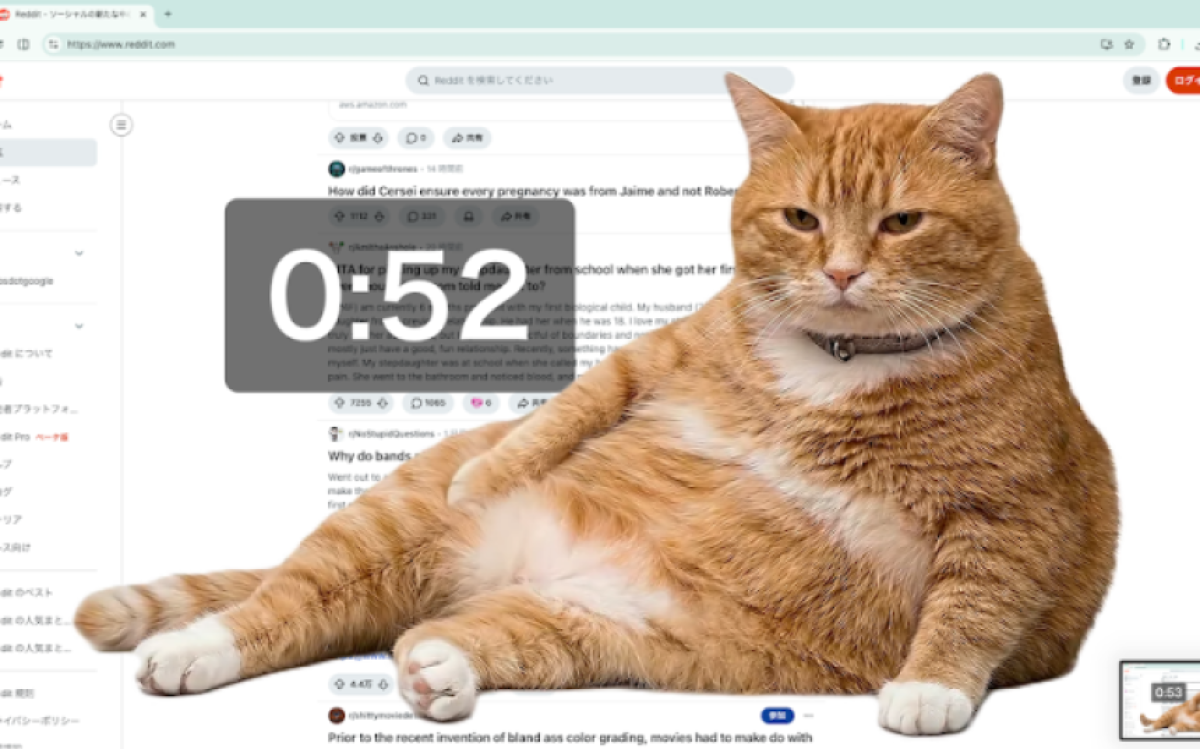 SNSやめーにゃ。画面を邪魔する太っちょ猫、日本人開発の拡張機能が海外でも話題に | カラパイア