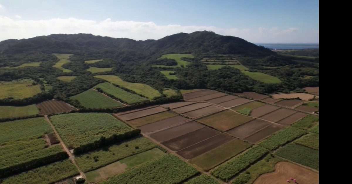 「なぜ開発必要か」カンムリワシ生息地近く石垣島ゴルフ場建設　WWFジャパンらが要望書