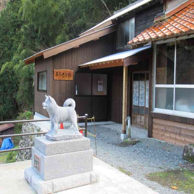 ニューヨークで柴犬が人気　SNS影響？飼い主ら交流