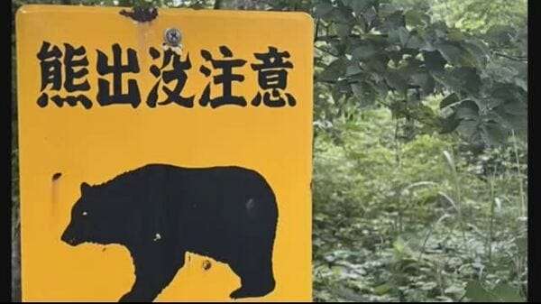 温泉街の敷地内にとどまったクマ１頭を駆除　「ごみをあさっている」と通報　５時間後に解決〈仙台〉