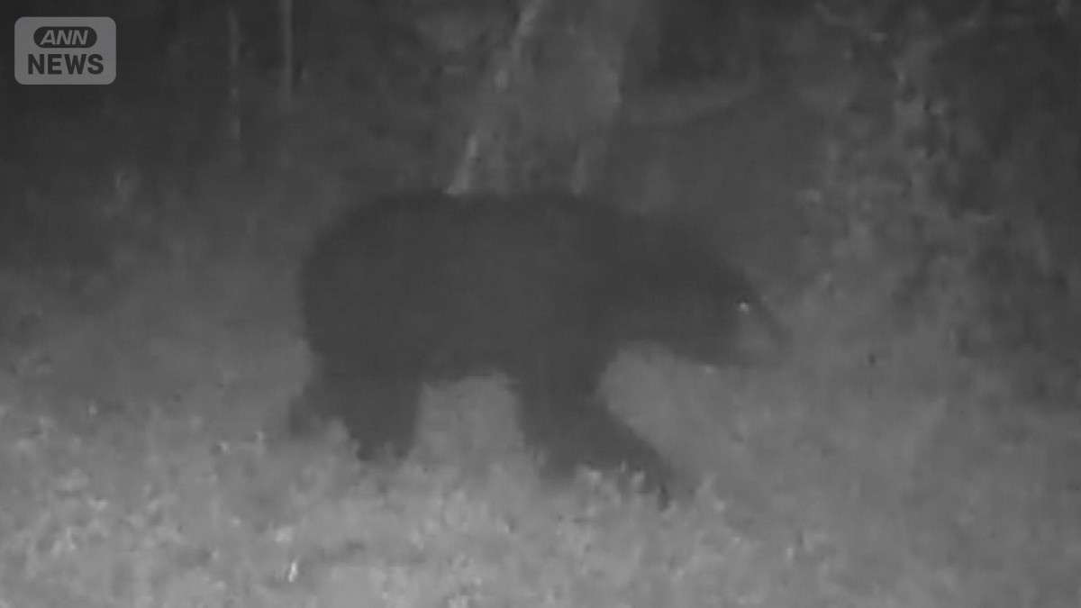 東京・八王子市でまたクマ出没　入山者に注意　市街地に近づく可能性も