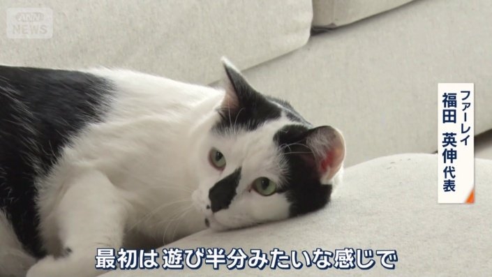 ペットと同伴勤務できるユニークな企業　猫チャットルームでコミュニケーションも円滑