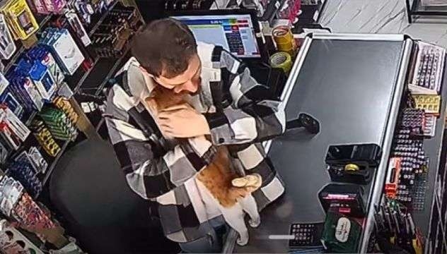 トルコの世界。腹ペコ猫を店に招き入れ餌を与えたところ、毎日ぎゅっとハグするように