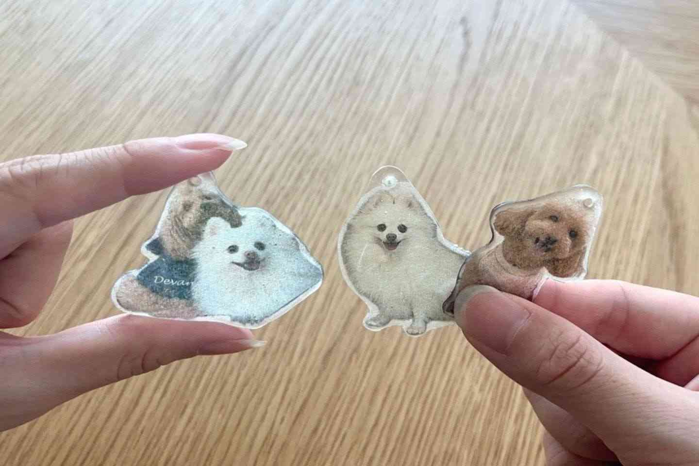 除光液でプラバンに簡単転写！ お家で作れる、愛犬写真のキーホルダー【カインズ愛犬DIY】|ワンクォール